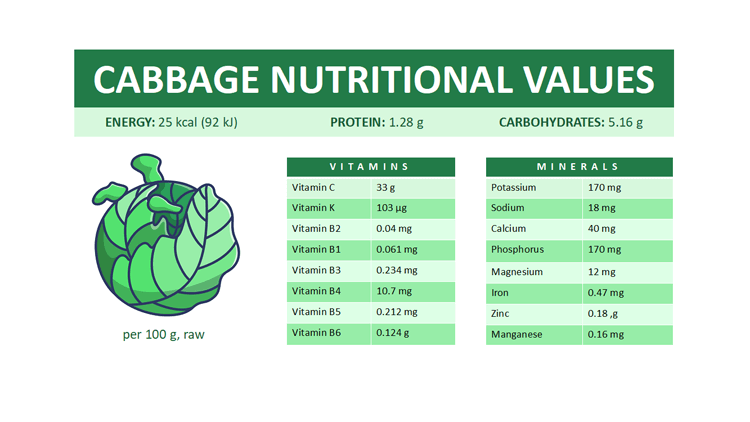 cabbage_nutritional_value_Sinocare